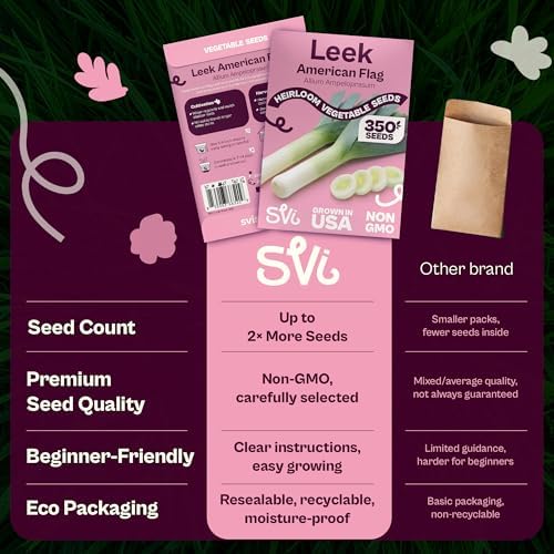 SVI 350 Large American Flag Leek Seeds (Allium ampeloprasum) – Culinary Leek Seed Packets – Cold Hardy Heirloom Vegetable Seeds Vegetable Garden, Home Garden Beds, Greenhouse & Outdoor Growing - Image 6