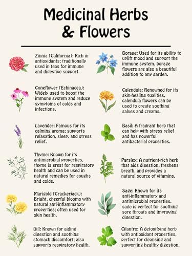 Medicinal Herb and Flower Set - 12 Varieties of Non-GMO & Heirloom Flowers and Herbs - Basil, Cilantro, Calendula, Lavender, Sage, & More! - Image 2