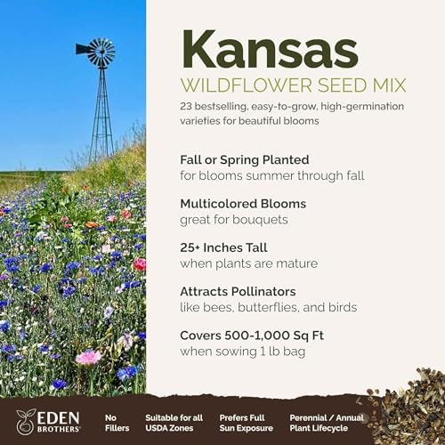 Eden Brothers Kansas Wildflower Mixed Seeds for Planting, 1 lb - Image 2