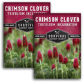 Crimson Clover Seeds for Planting - Survival Garden Seeds (2 Pack) by SurvivalGardenSeeds
