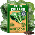 HOME GROWN Vates Collard Green Seeds, 300+ Seeds by HOMEGROWN
