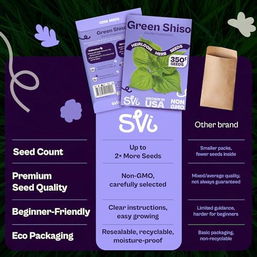 SVI 350 Green Shiso Seeds (Perilla frutescens) – Japanese Shiso Perilla Seed Packets, Aromatic Leaves – Japanese Heirloom Herb Seeds Outdoors & Indoor Herb Garden - Image 6