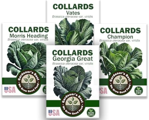 Collard Greens Seeds for Planting (Collards Jumb Combo, 1000, Count) by WeGrowGoodFood