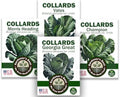 Collard Greens Seeds for Planting (Collards Jumb Combo, 1000, Count) by WeGrowGoodFood