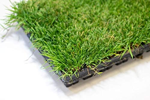 Zoysia Plugs - 50 Full & Lush Grass Plugs | Mature Roots | Individually Grown - Image 5