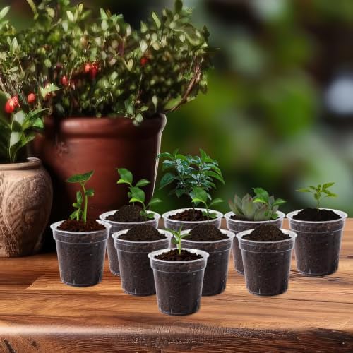 30 Pcs 2 Inch Clear Mini Nursery Pots, Seedling Pots with Drainage Holes - Image 6