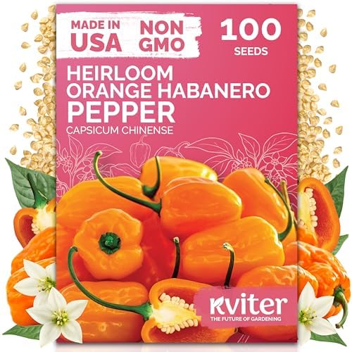 100 Orange Habanero Hot Pepper Heirloom Vegetable Seeds, Capsicum Chinense by KVITER