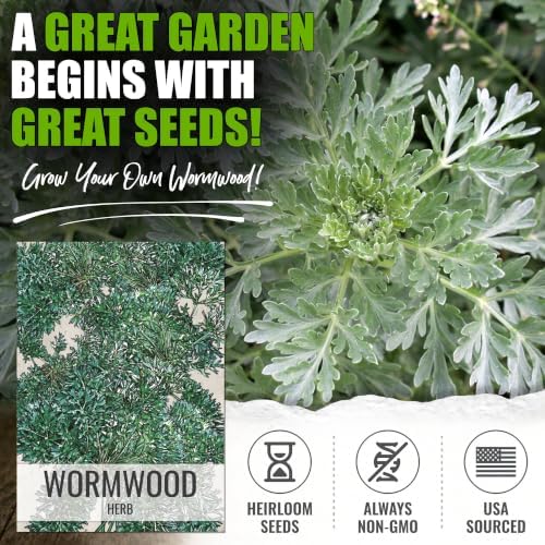 Seed Needs Wormwood Seeds to Plant an Herb Garden - 5 Packs - Image 2