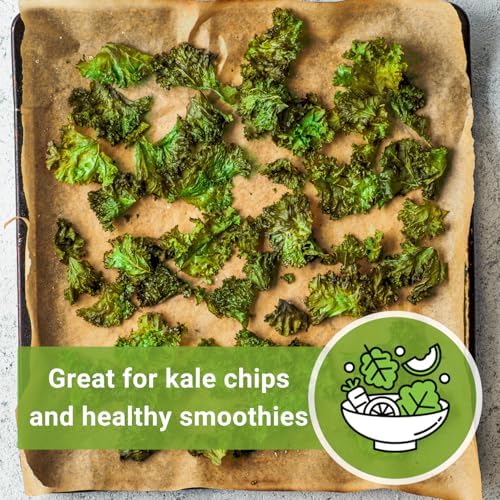 Sow Right Seeds - Dwarf Siberian Improved Kale Seed for Planting Garden - Image 6
