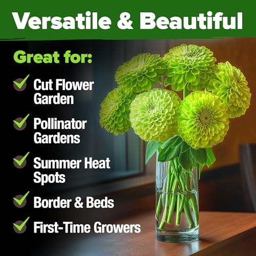 HOME GROWN Envy Zinnia Seeds, 1000 Seeds, Zinnia elegans - Image 6
