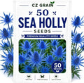 Garden Seeds for Planting, 50 Sea Holly by CZGrain