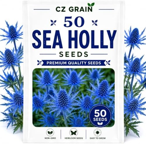 Garden Seeds for Planting, 50 Sea Holly by CZGrain