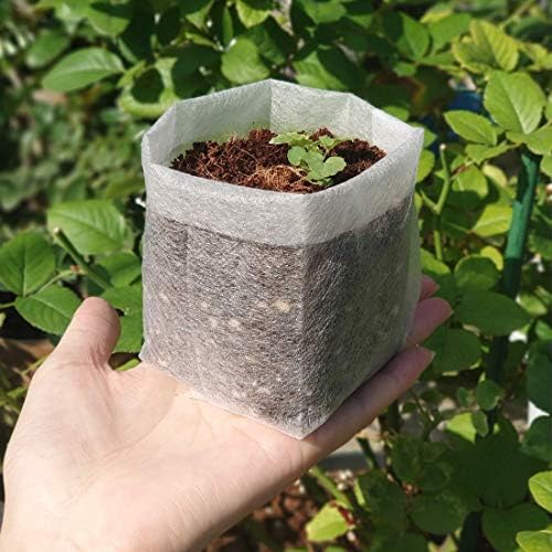 Belit Nursery Growing Bags, 100 Pcs Fabric Seedling Pots Non-Woven Pouch for Gardening Seed Plant Bag, Potato, Flower, Tomato Plant Starts (5.7" x 5.7 ") - Image 3
