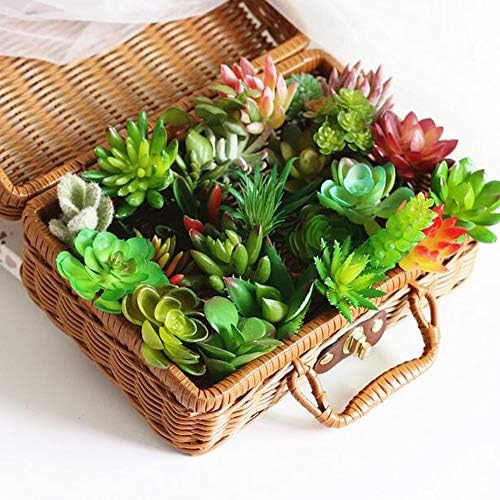 Woohome 20 PCS Artificial Succulent Plants, Green Fake Succulent, Unpotted Faux Succulent Assortment in Flocked Blue in Different Type for Birthday Home Decor Indoor Wall Garden DIY - Image 7