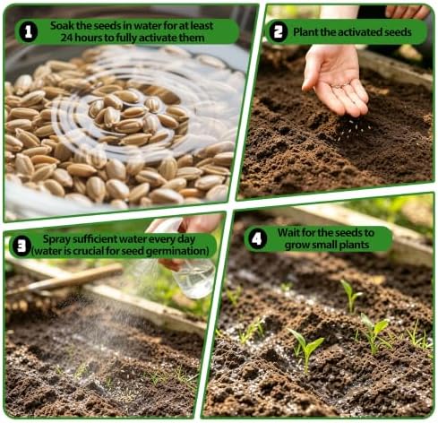 Heirloom10 Herb Seeds Kit - Image 4