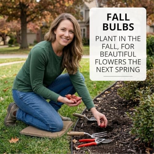 50 Spring Flower Bulbs to Plant, Tulips, Daffodils, Allium, Crocus & Squill - Image 3
