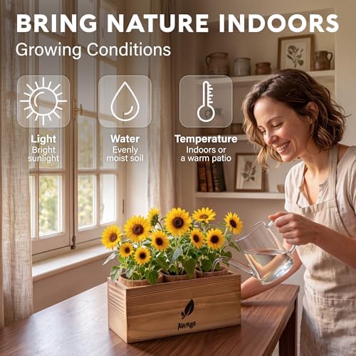 Sunflower Seeds Growing Kit - Image 3