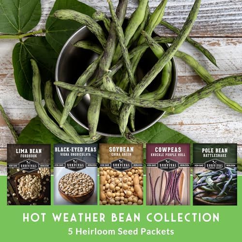 Hot Weather Bean Seeds for Planting – 5 Varieties - Survival Garden Seeds - Image 3