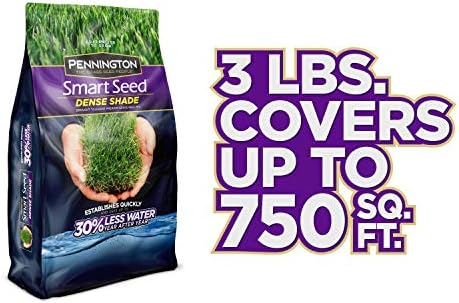 Pennington Smart Seed Dense Shade Grass Seed, 3 lb (100086851) - Image 5