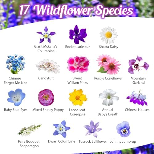 BBB Seed Partial Shade Wildflower Seeds Mix, Bulk 4 oz, Non-GMO Flowers (Pack of 2) - Image 2