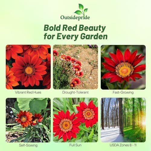 Outsidepride New Day Red Shades Gazania Seeds for Planting – 25 Pcs Perennial, Low-Maintenance, Drought-Tolerant Ground Cover Seeds for Vibrant Summer & Fall Flowers, Great for Outdoor Gardens - Image 2