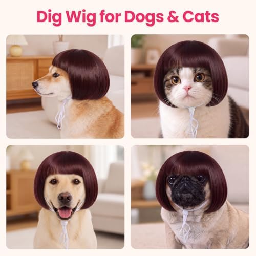 Funny Dog Wig, Short Straight Hair Pet Costume with Bangs for Halloween - Image 4