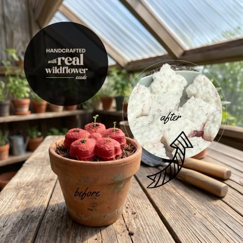 24-Count Plantable 3D Flower Wildflower Seed Bomb Favors - Image 4