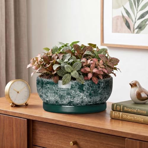 8 Inch Ceramic Bonsai Tree Pots with Saucer, Droplet Green - Image 6