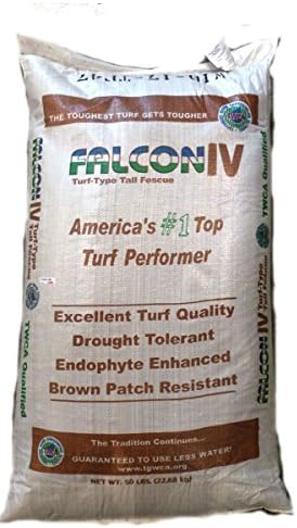Falcon IV Turf Type Tall Fescue Grass Seeds - 50 lbs. by SeedRanch