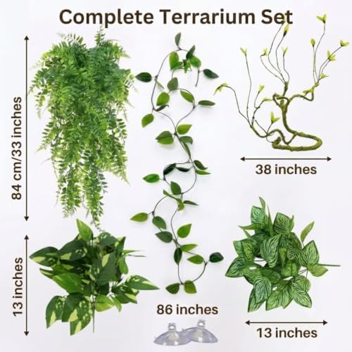 Reptile Plants for Terrarium, Bearded Dragon Tank Accessories - Image 3