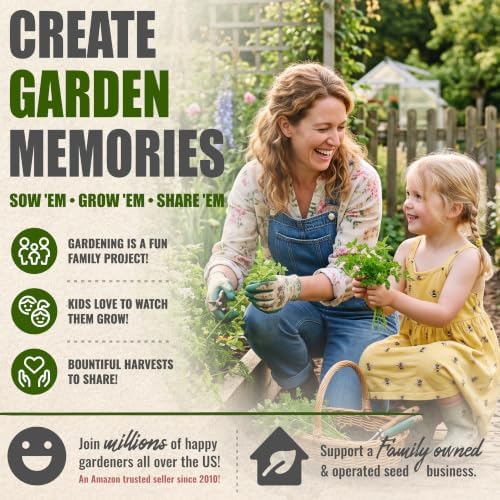 Seed Needs Chervil Seeds to Plant an Herb Garden - 5 Packs - Image 6