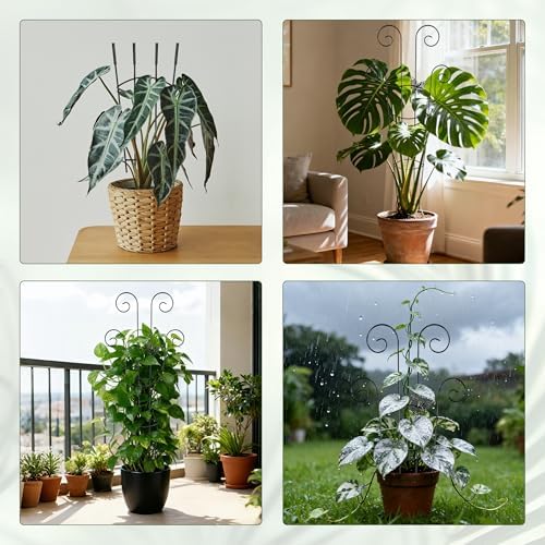 2 Pcs 30'' Monstera Plant Support Stakes, Metal Garden Trellis for Potted Plants Outdoor, Tall Expandable Houseplant Climber Trellis with Butterfly Design for Ivy Hoya Vin (Black) - Image 7