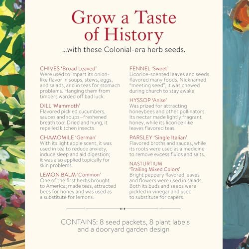 Burpee 'A Colonial Dooryard Herb Garden' – Heritage Kitchen Herb Starter Kit with 8 Non-GMO Seeds, Plant Labels & Dooryard Garden Design Card - Image 4