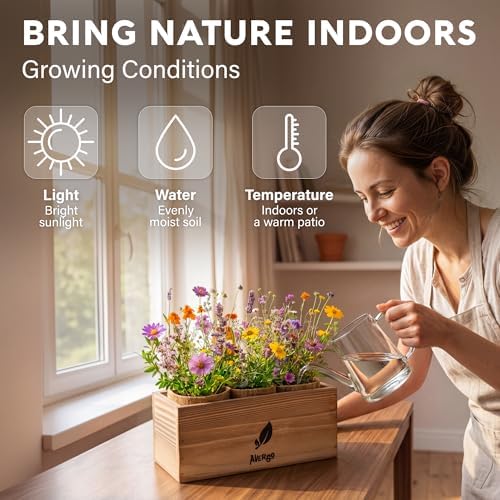 Wildflower Seed Mix Growing Kit - Image 3