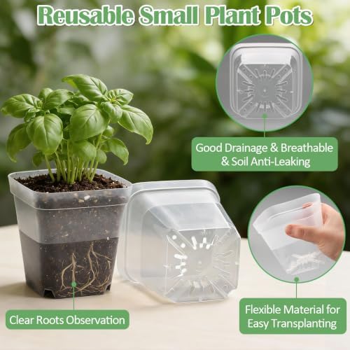 RooTrimmer 60 Pcs Clear Square Nursery Pots 4 Inch, Reusable Seedling Pots with Drainage Holes, Transparent Small Plant Potting Pot Containers for Seedlings Microgreens, Flowers, Indoor Gardening - Image 2