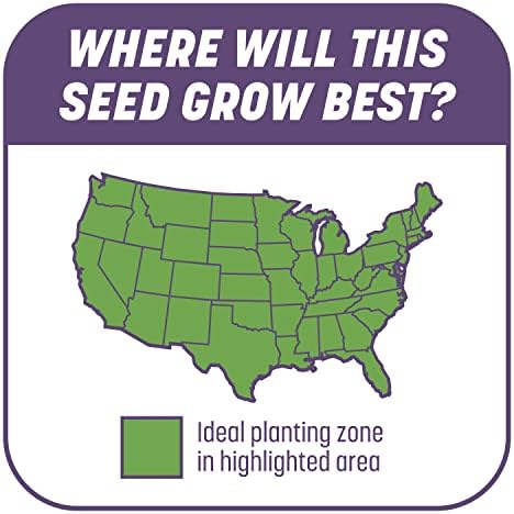 Pennington Smart Patch Dense Shade Grass Seed 10 LB, Bare Spot Repair with Mulch and Fertilizer - Image 6