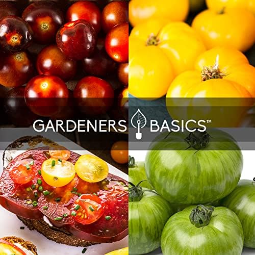 Gardeners Basics, 5 Rare Tomato Seeds for Planting Variety Pack Heirloom Tomato Seeds, Cherokee Purple, Black Krim, Pineapple, Green Zebra, Black Cherry, Determinate and Indeterminate & More, Non GMO - Image 5