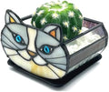 Cute Gray Cat Planter,Cat Succulent Planter,Unique Pots for Indoor Plants,Gifts for Plant Lovers Women Unique 4.33x3.54x2.95 in (Flower Pot Does not Include Plants) by Entlityful