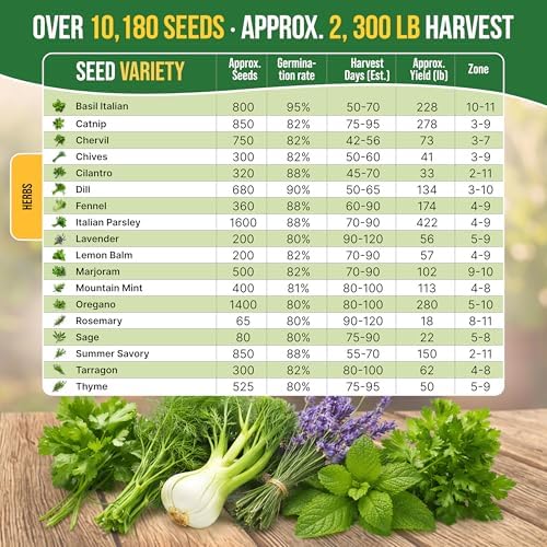 Organo Republic 18 Culinary Herbs Seeds Variety Pack - 10,180+ Heirloom, Non-GMO, Herbs Seeds for Outdoor and Indoor Home Gardening, Including Rosemary, Thyme, Oregano, Mint, Basil, Parsley - Image 4