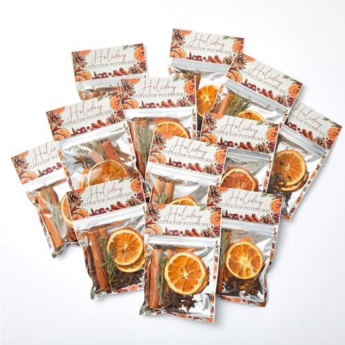 10 Pcs Christmas Simmer Pot Stovetop Potpourri 30G Orange Spice by Heigble