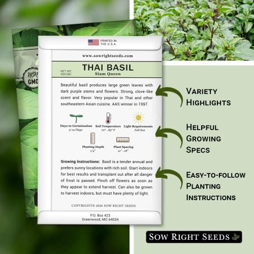 Sow Right Seeds - Siam Queen Thai Basil Seeds for Planting Your Herb Garden - Image 2
