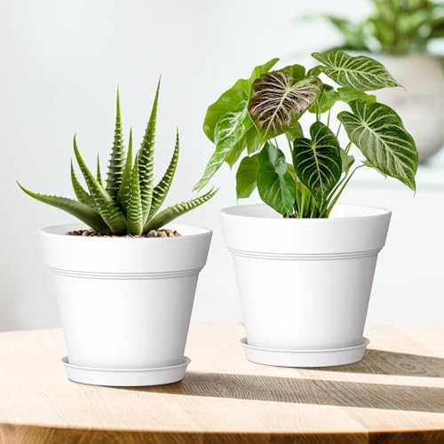 WSMKSZ 7 Inch Thick Plastic Plant Pots with Drainage Holes and Trays – 6 Pack Nursery Pots for Indoor & Outdoor House Plants, Seedling Starter Planters for Garden Flowers, White - Image 6