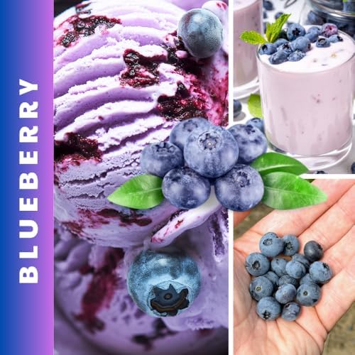 Northern Highbush Blueberry Live Plant, Edible Blueberries Plant, 4" Pot - Image 3