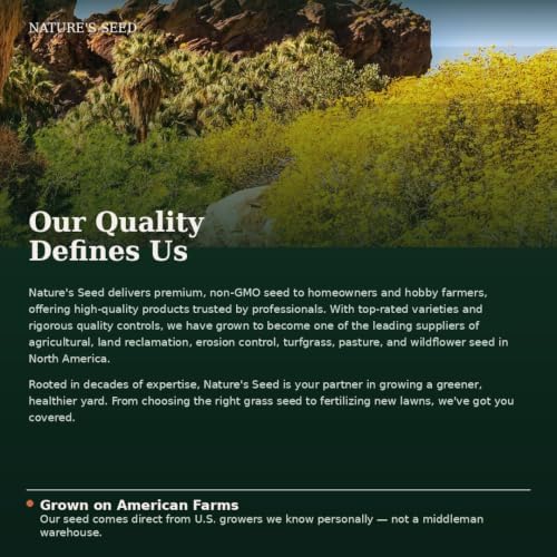 Nature’s Seed Brittlebush Wildflower Flower Seeds for Planting, Drought-Tolerant, Pollinator Friendly, Ideal for Desert Wildlife, 0.25 lbs - Image 6