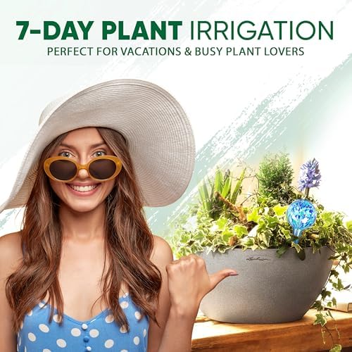 Plant Watering Globes Set of 2, Large - Glass Self Watering Globes - Image 5