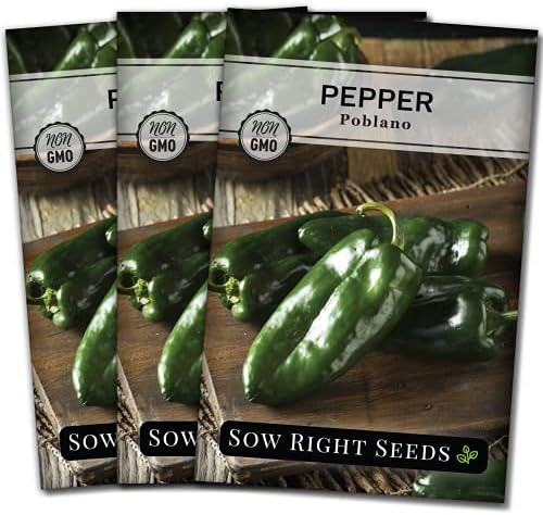 Sow Right Seeds - Poblano Pepper Seed for Planting Ancho Chile Peppers 3pk by SowRightSeeds