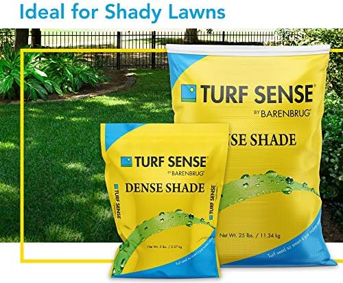 Barenbrug 25621 Turf Sense Grass Seed Grows in Areas of Sun and Dense Shade, 5 LB Bag - Image 2