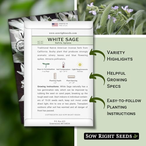 Sow Right Seeds - White Sage Seed for Planting Perennial Medicinal Herb 3pk - Image 2