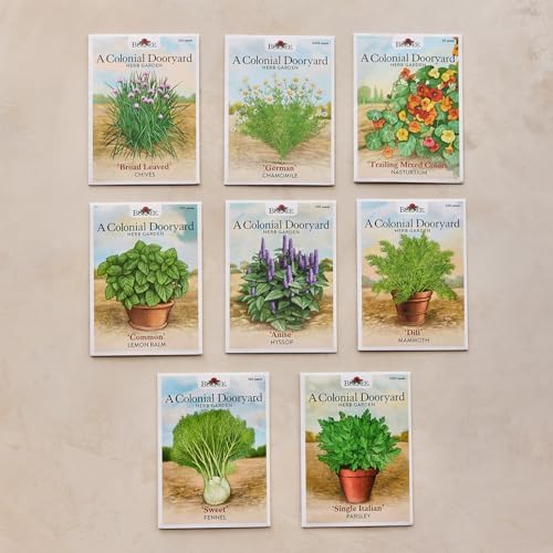 Burpee 'A Colonial Dooryard Herb Garden' – Heritage Kitchen Herb Starter Kit with 8 Non-GMO Seeds, Plant Labels & Dooryard Garden Design Card - Image 3