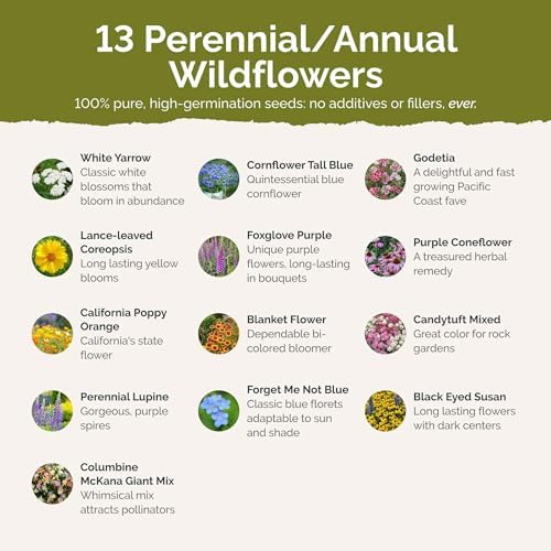 Eden Brothers Alaska Wildflower Mixed Seeds for Planting, 1 lb - Image 3